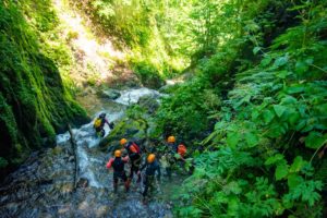 subra canyon groupe ariege végétal